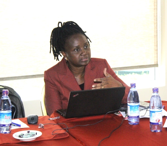 Ms. Anette Mpabulungi- Wakabi, Team Leader of the Rule of Law and Constitutional Democracy project at UNDP 