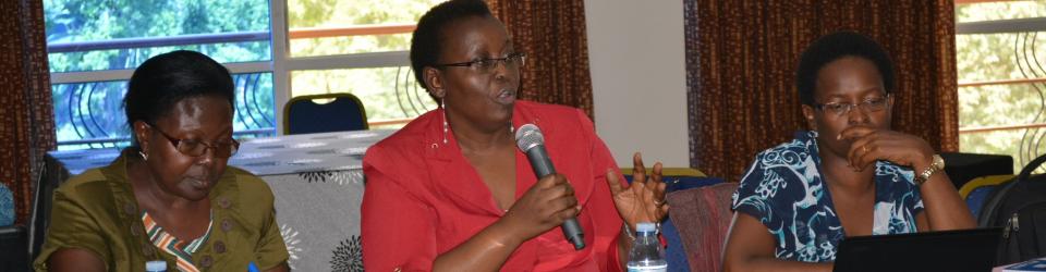 Prof. Grace Bantebya from the School of Women and Gender Studies makes her submission during the workshop